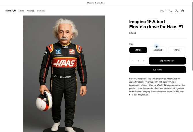 Ireland selected: the Einstein SMALL variant is displayed at USD 22.58.